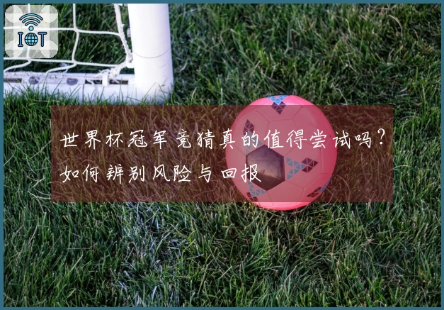 世界杯冠军竞猜真的值得尝试吗？如何辨别风险与回报