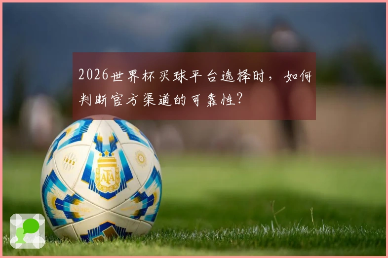 2026世界杯买球平台选择时，如何判断官方渠道的可靠性？