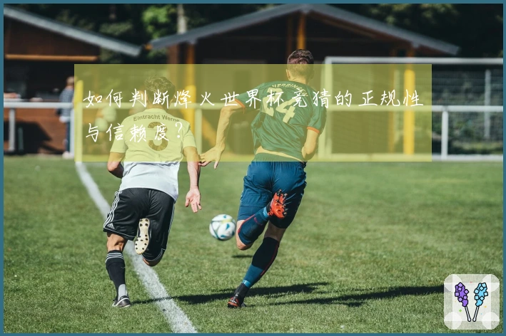 如何判断烽火世界杯竞猜的正规性与信赖度？
