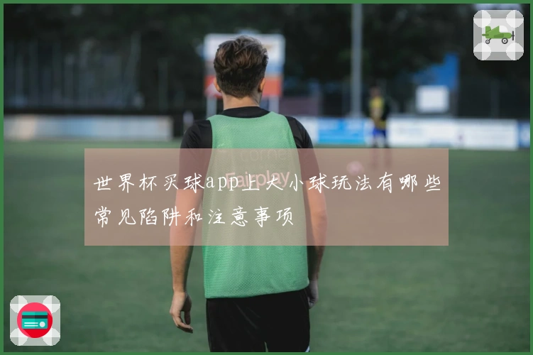 世界杯买球app上大小球玩法有哪些常见陷阱和注意事项