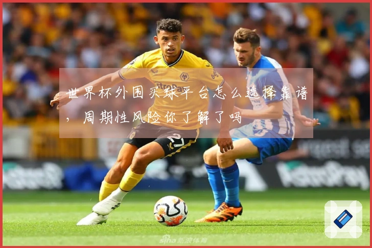 世界杯外围买球平台怎么选择靠谱，周期性风险你了解了吗