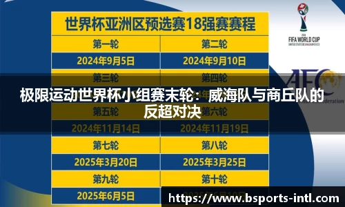 B体育